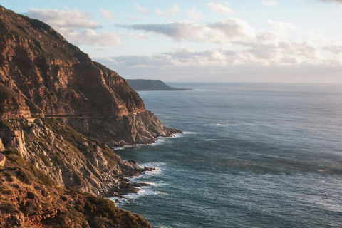 Cape Town: Private Tour with Customizable Itinerary