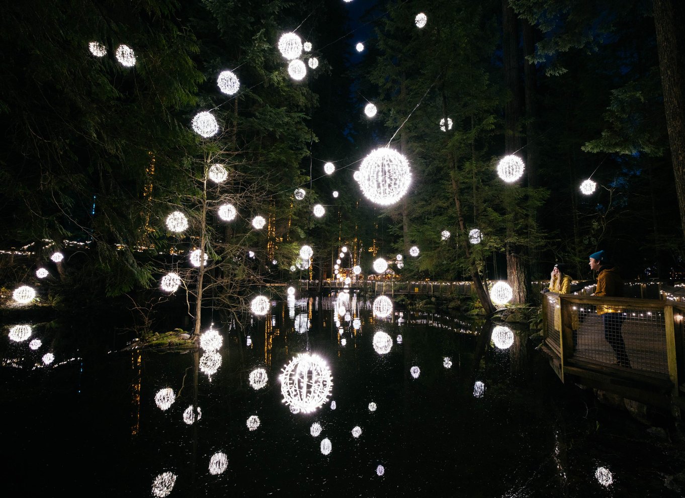 Vancouver: Capilano Suspension Bridge Park billet