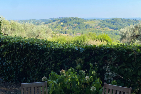 Visite des vignobles de Toscane en navette depuis Lucques