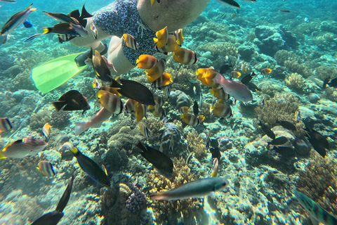Lombok: Pink Beach & Gili Islands Snorkeling with Boat Trip