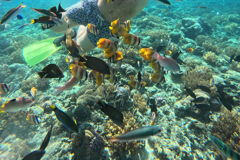 Lombok: Pink Beach & Gili Islands Snorkeling with Boat Trip