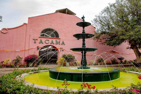 Ica: Ica Wine and Pisco Tour with Tastings