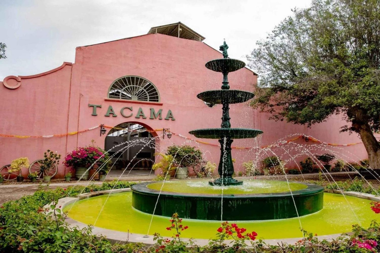 Ica: Ica Wine and Pisco Tour with Tastings