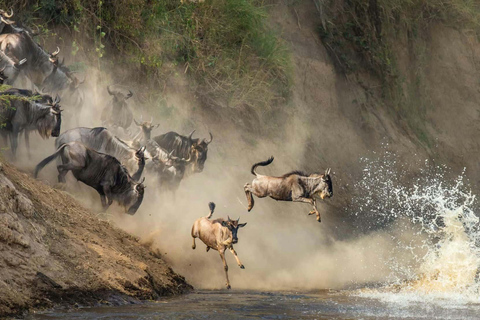 4-Days Group Safari Tour Tarangire, Serengeti & Ngorongoro 4-Days Group Safari Tarangire, Serengeti & Ngorongoro