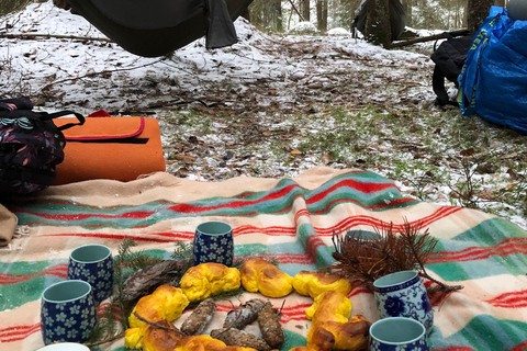 Forest Bathing in Stockholm nature with certified guide Forest bathing with tea-ceremony in mossy nature reserve