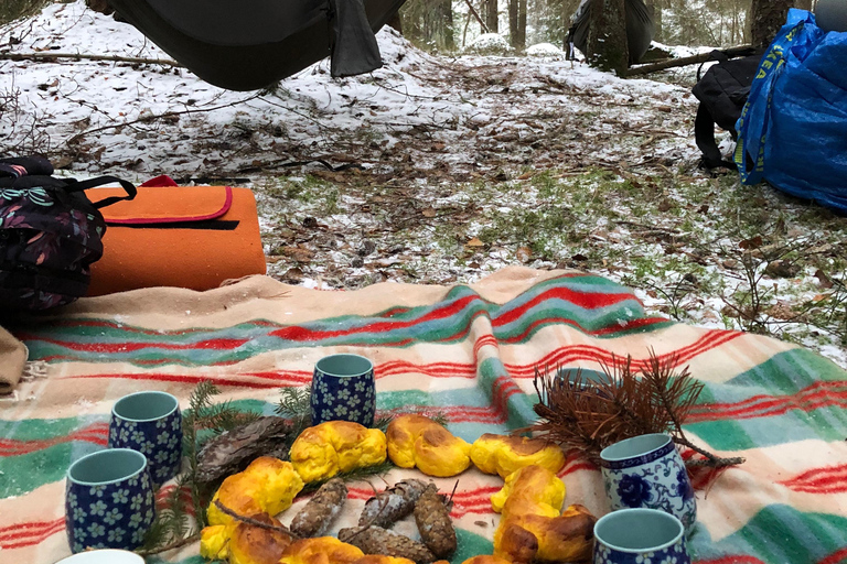 Forest Bathing in Stockholm nature with certified guide Forest bathing with tea-ceremony in mossy nature reserve