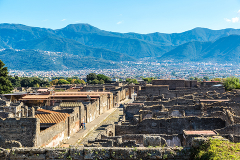 Pompeji: EintrittskartePompeji Reservierter Eintritt Wochentagsticket