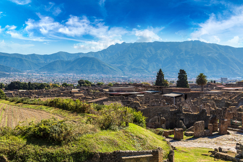 Pompeji: EintrittskartePompeji Reservierter Eintritt Wochentagsticket