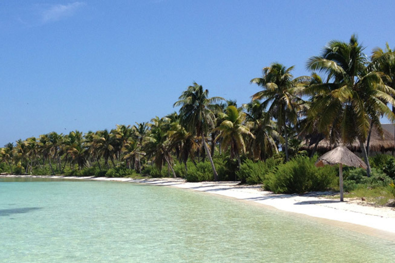 Cancún: Excursão Combinada Ilha das Mulheres e Ilha ContoyCancun: Passeio Combo Isla Contoy e Isla Mujeres