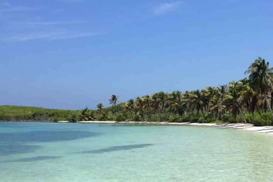 Visit Isla Contoy: Best of Isla Contoy Tourism