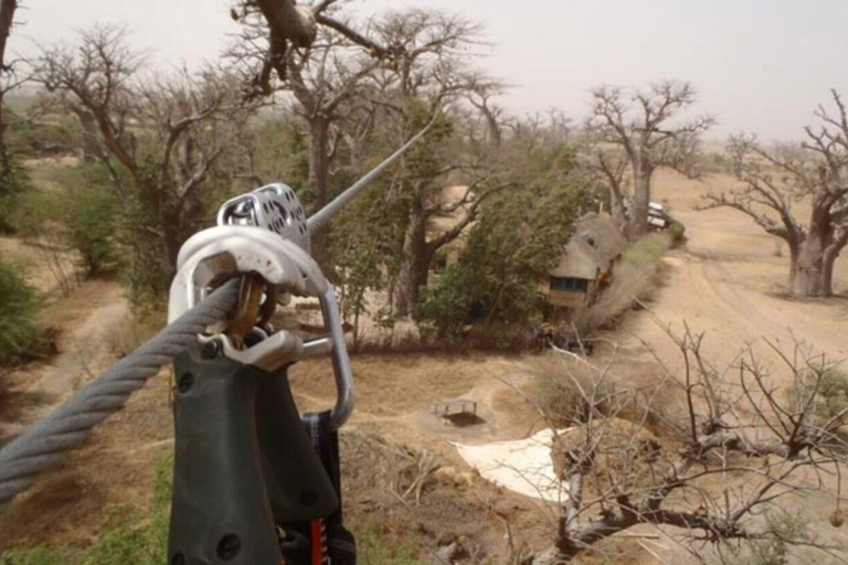 Baobab Heights: Przygoda w przestworzach