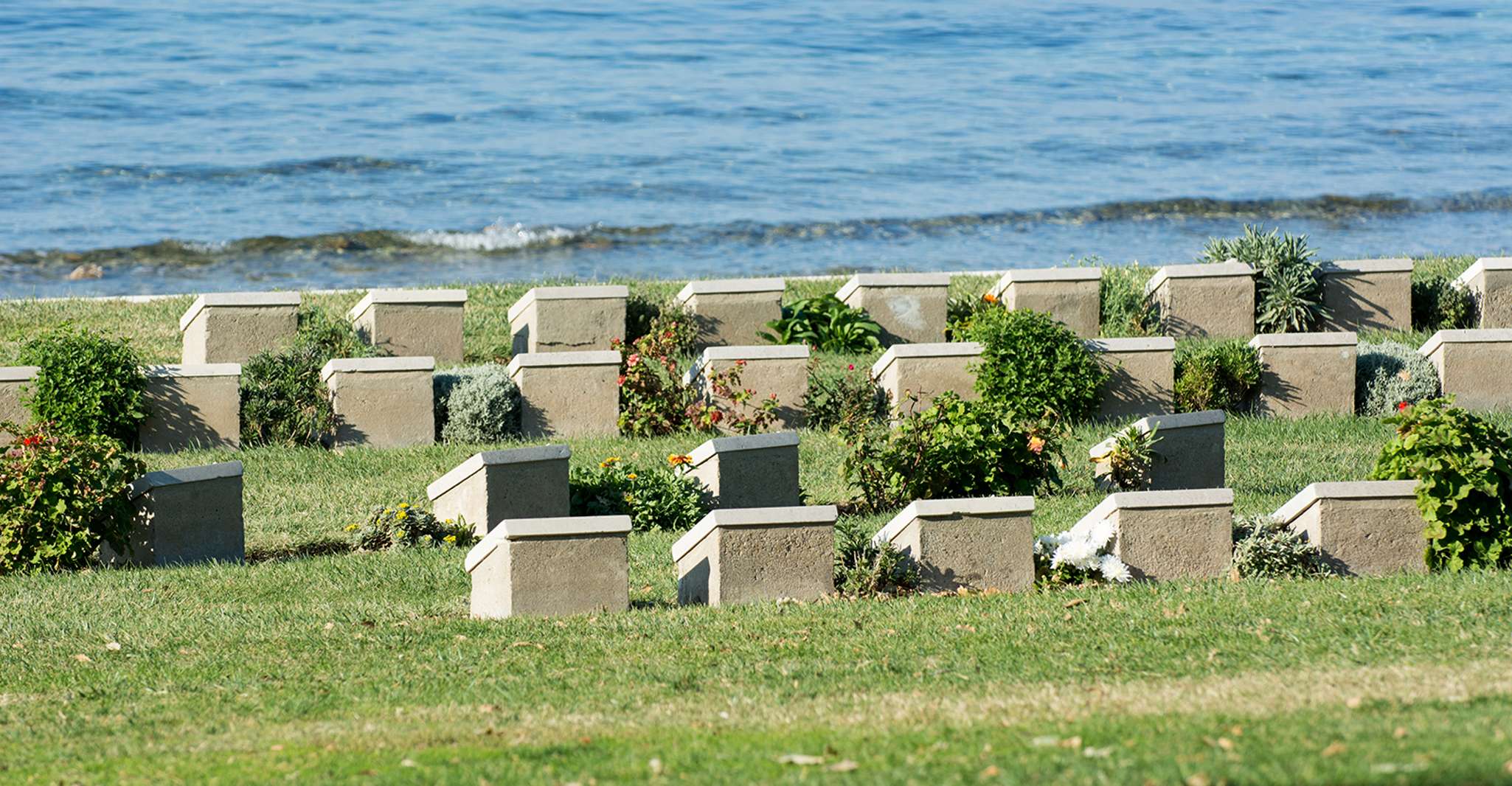 Desde Estambul, tour de 2 días a Gallipoli & Troy - Hizvo