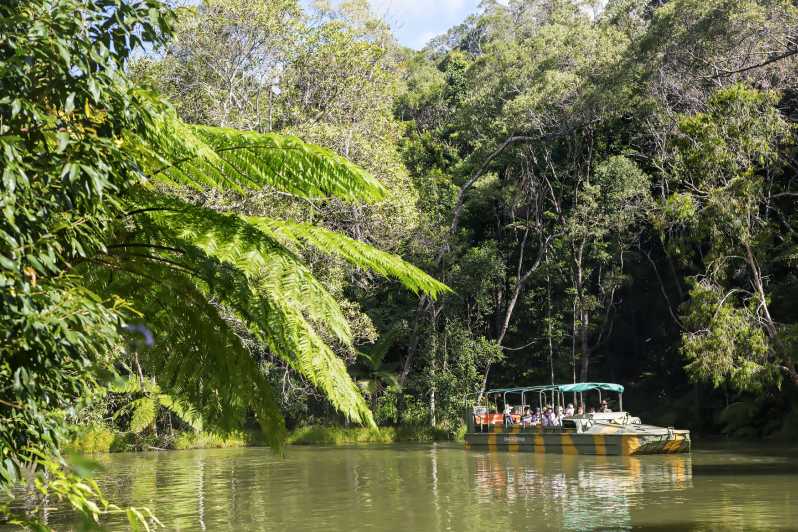 From Cairns: Full-Day Kuranda Army Duck Experience Tour