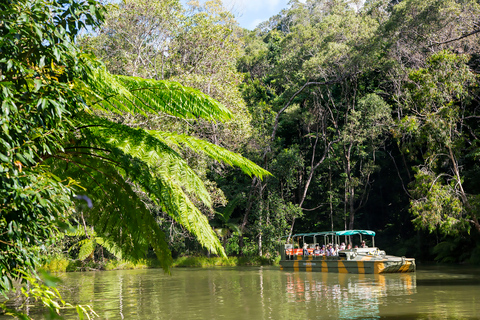 Från Cairns: Heldagstur till Kuranda Army Duck Experience