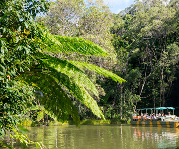 From Cairns: Full-Day Kuranda Army Duck Experience Tour