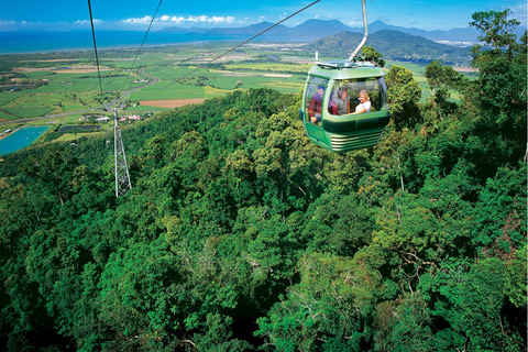 Desde Cairns: Tour de un día completo de la experiencia del pato del ejército Kuranda