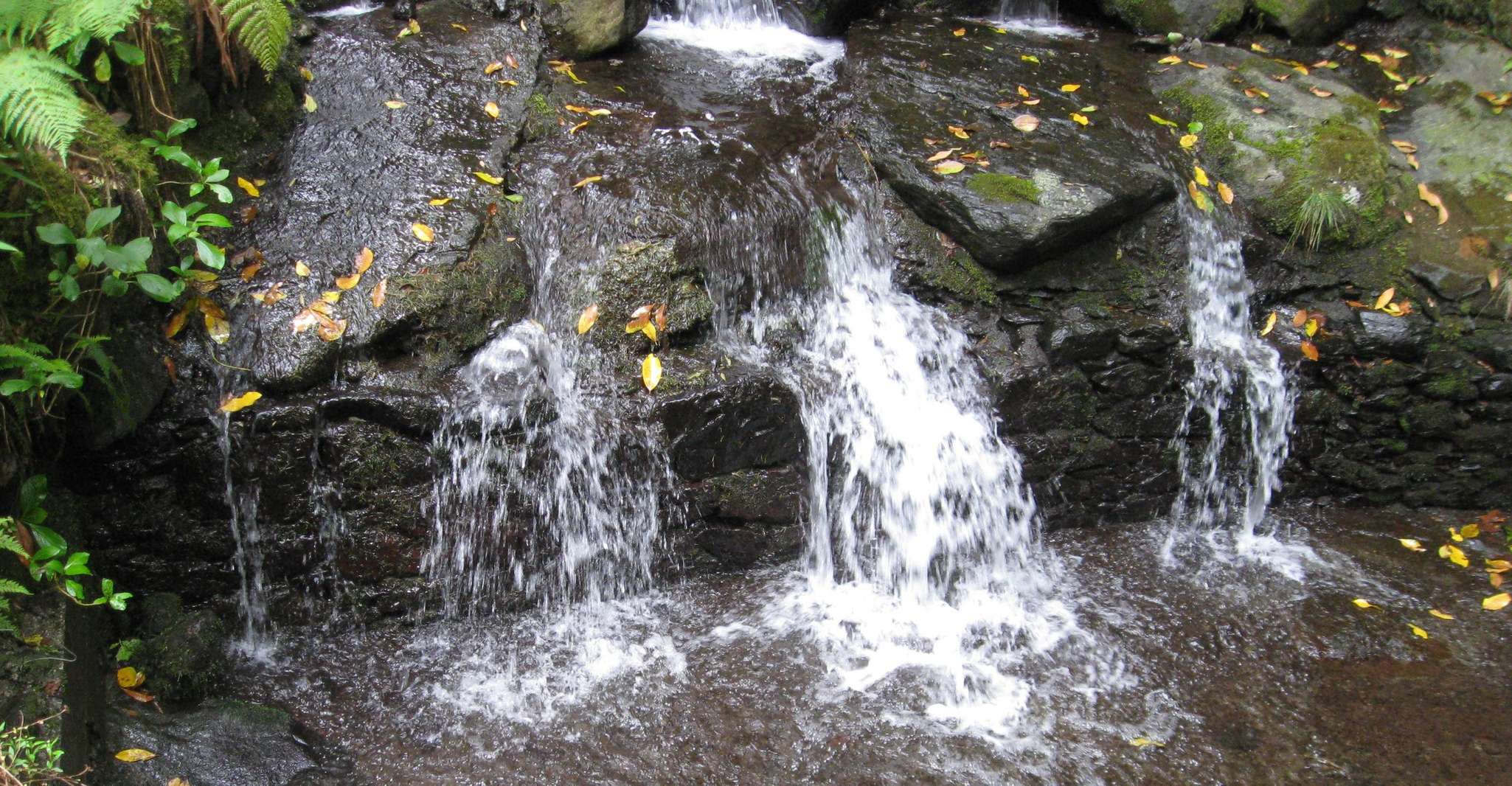 Queimadas Caldeirao Verde Full day hike - Housity