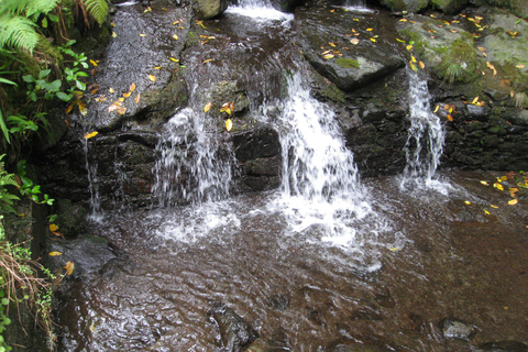 Queimadas Caldeirao Verde Excursión de día completo