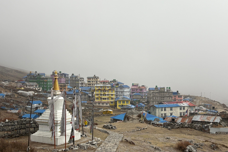 Langtang Valley Trek with Kyanjin Ri & Tsergo Ri