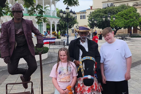 Puerto Plata: Monkey home, Damajagua Waterfalls & City Tour