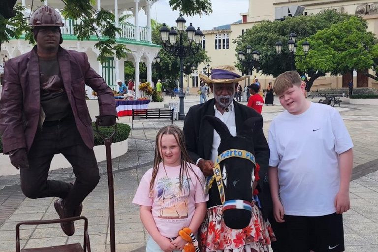 Puerto Plata: Monkey home, Damajagua Waterfalls & City Tour