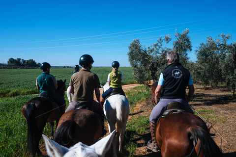Horseback ride around Doñana National Park Horseback riding around Doñana National Park