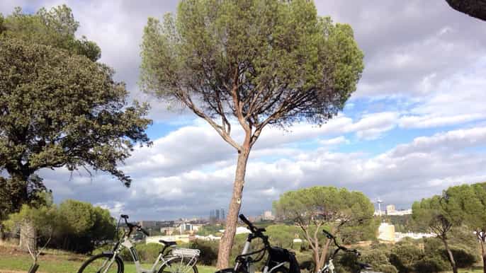 madrid’s river side casa de campo electric bike tour