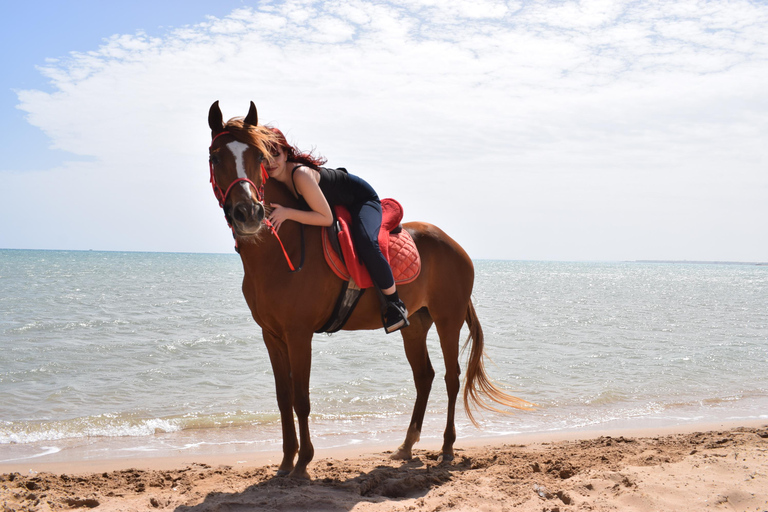 Hurghada: Swimming & Horse riding with FREE Photos & Videos 2-Hour Horse Swimming & Photos with Transfer