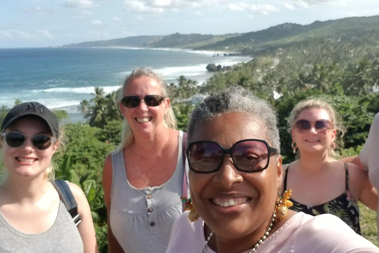 Barbados: Private Island Tour with Snacks and Water