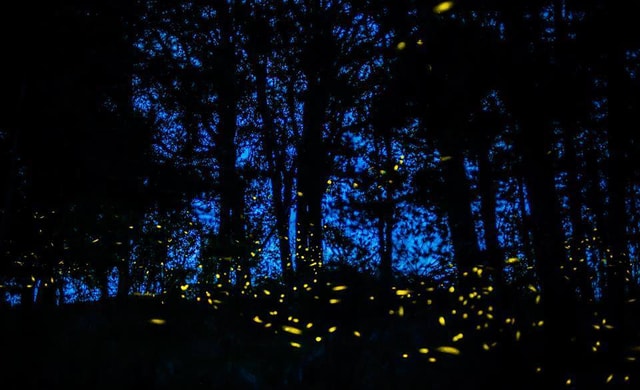 Tour of Tlaxcala and Sanctuary of the Fireflies