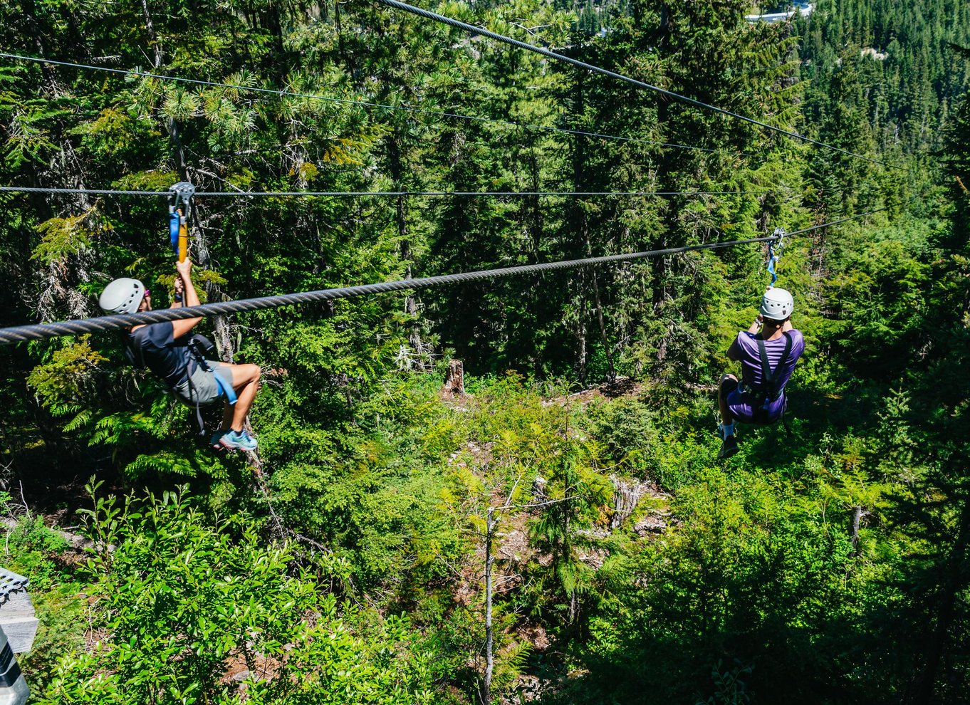 Whistler: Ziplining-oplevelse