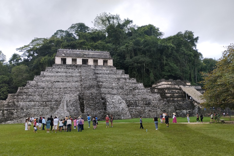 Visite à pied du site archéologique et de la jungle de Palenque