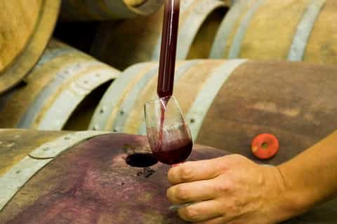 Verona: Create your Own Wine