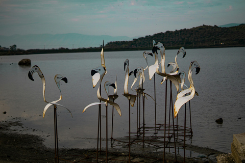 Excursion d&#039;une journée à : Apollonia, la lagune de Narta et le monastère de ZvernecExcursion d&#039;une journée à Apollonia, la lagune de Narta et le monastère de Zvernec