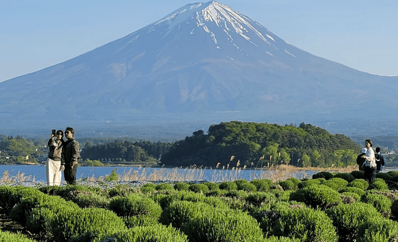 Datokyo Escursione Privata Di Un Intera Giornata Sul Monte Fuji Con