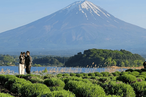 Z Tokio: całodniowa wycieczka na górę Fuji z angielskim kierowcą