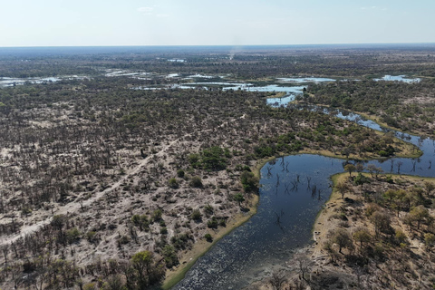 From Maun: Okavango Delta Mokoro Day Trip with Nature Walk