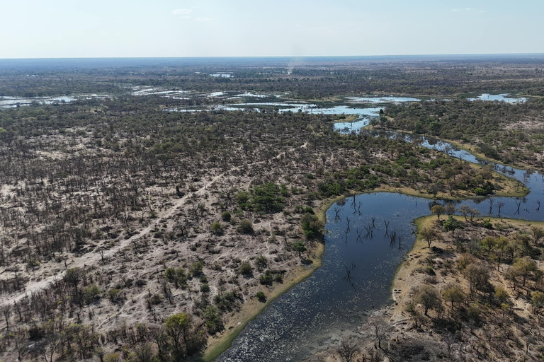 From Maun: Okavango Delta Mokoro Day Trip with Nature Walk