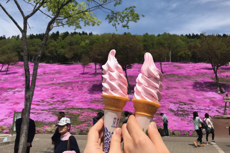 Eastern Hokkaido: Shibazakura & Tulip Park Day Tour Sapporo TV Tower Departure