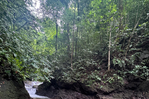 Bijagual Jungle Waterfall Hike & Herradura Beach Adventure