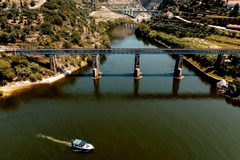 Porto: Douro Valley Private Boat & Train Tour with Lunch