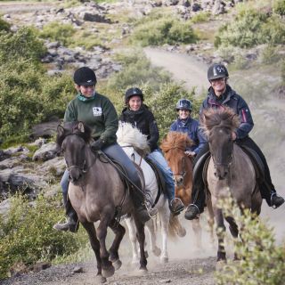 Tour pomeridiano a cavallo vichingo