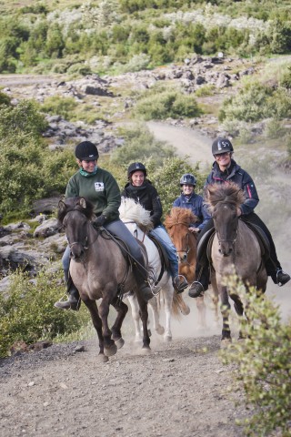 Vanuit Reykjavík: Vikingtocht te paard in Hafnarfjörður