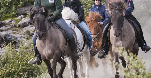 From Reykjavík: Viking Horseback Tour in Hafnarfjörður