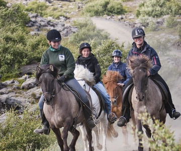 From Reykjavík: Viking Horseback Tour in Hafnarfjörður