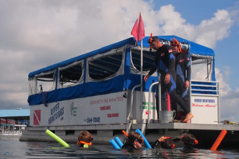 Crystal River: Pontoon Boat Cruise and Swim with Manatees