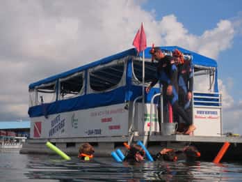 Crystal River Florida: Schwimmen mit Seekühen Crystal River Florida: Schwimmen mit Seekühen