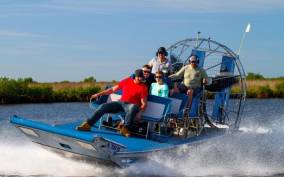 Homosassa: Gulf of Mexico Airboat Ride and Dolphin Watching