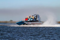 Homosassa, Golfo de México Airboat Ride and Dolphin mira - Housity