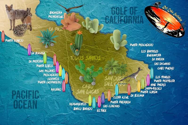 Los Cabos Mexico Surfboard Rentals GetYourGuide